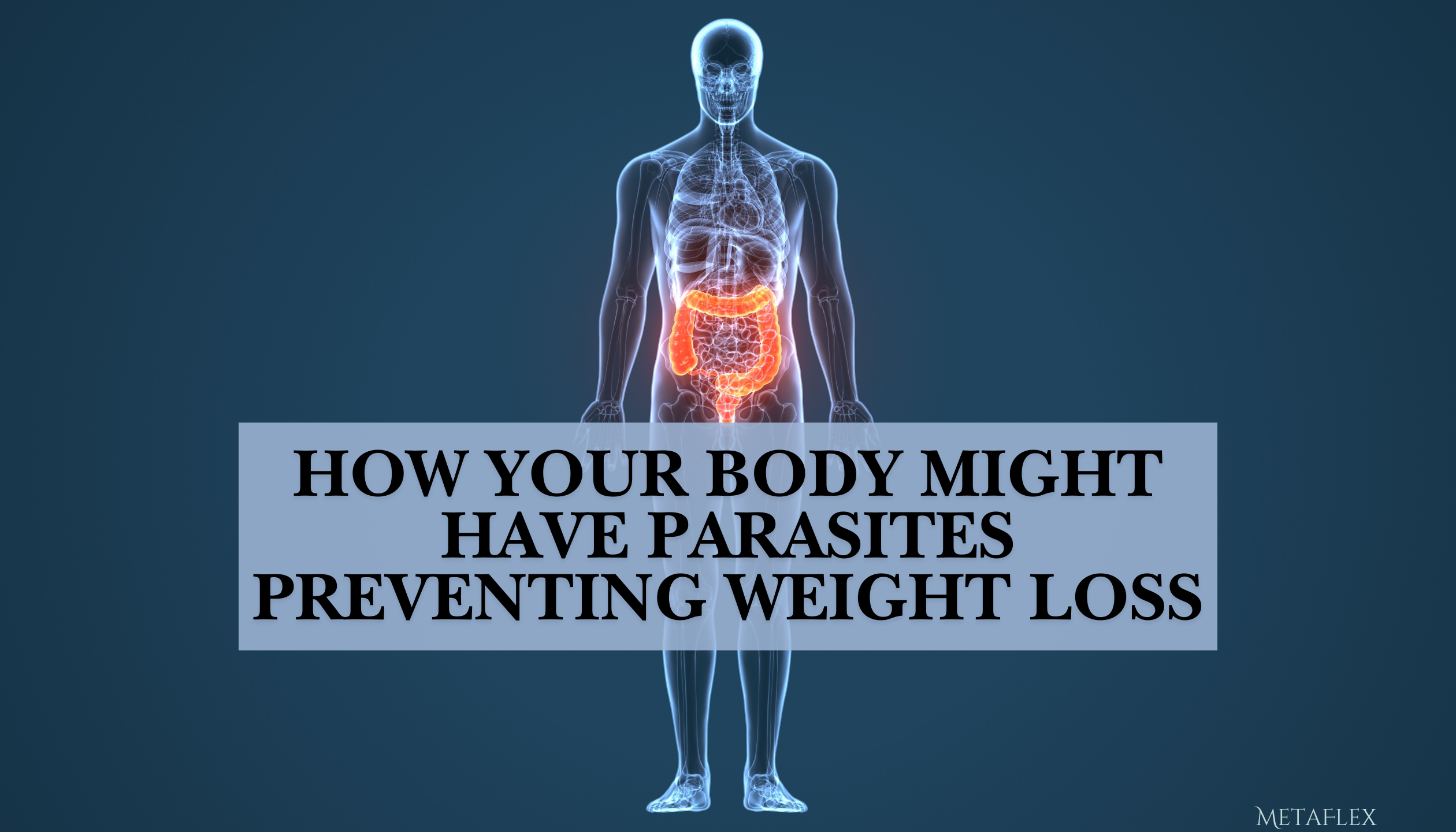 parasite-weight-loss